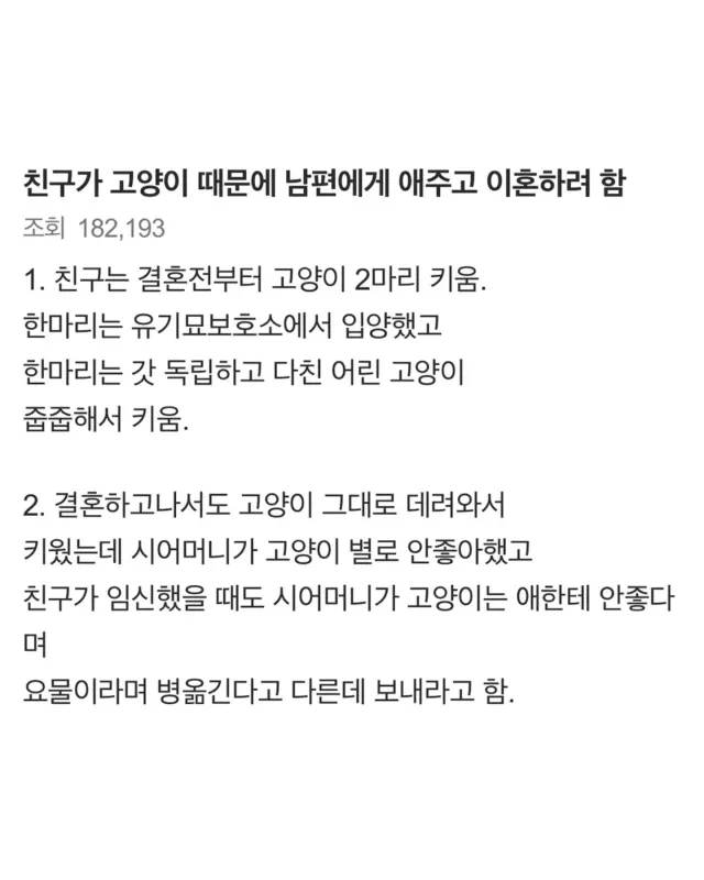 고양이 갖다버린 시모 때문에 양육권 포기하고 이혼