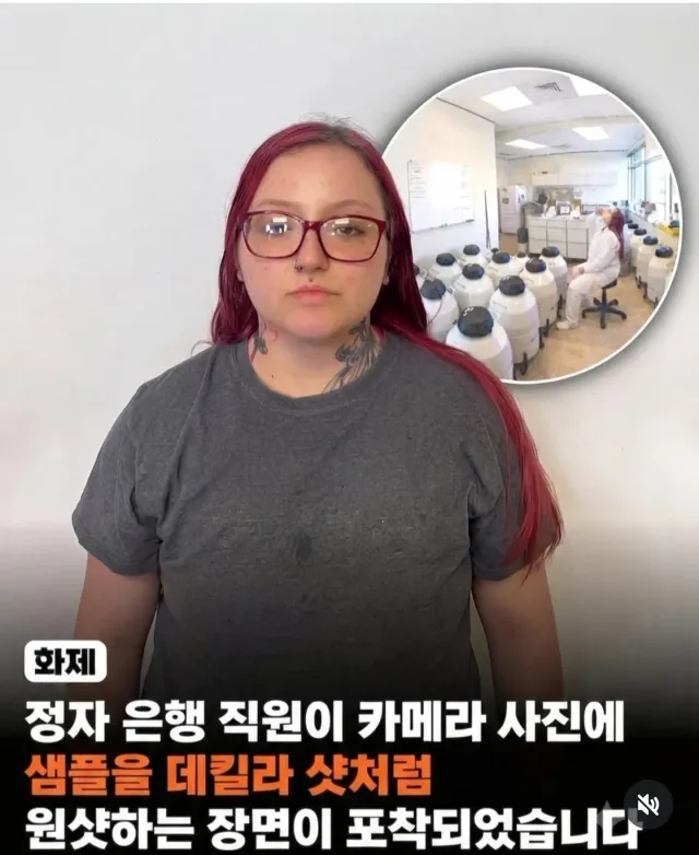 데킬라 마시듯 원샷