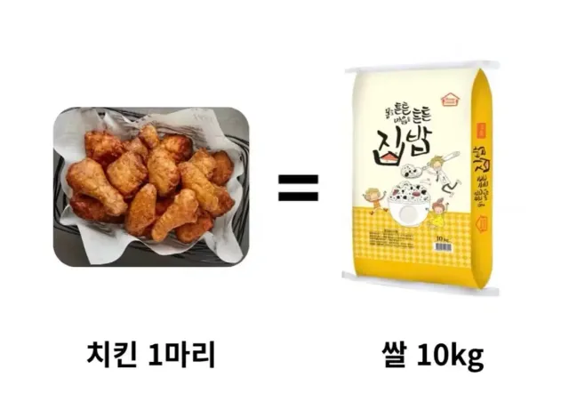요즘 물가 근황