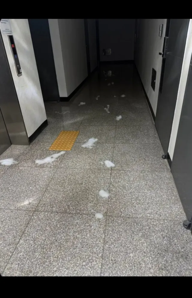 직업정신 쩔었던 배달 기사