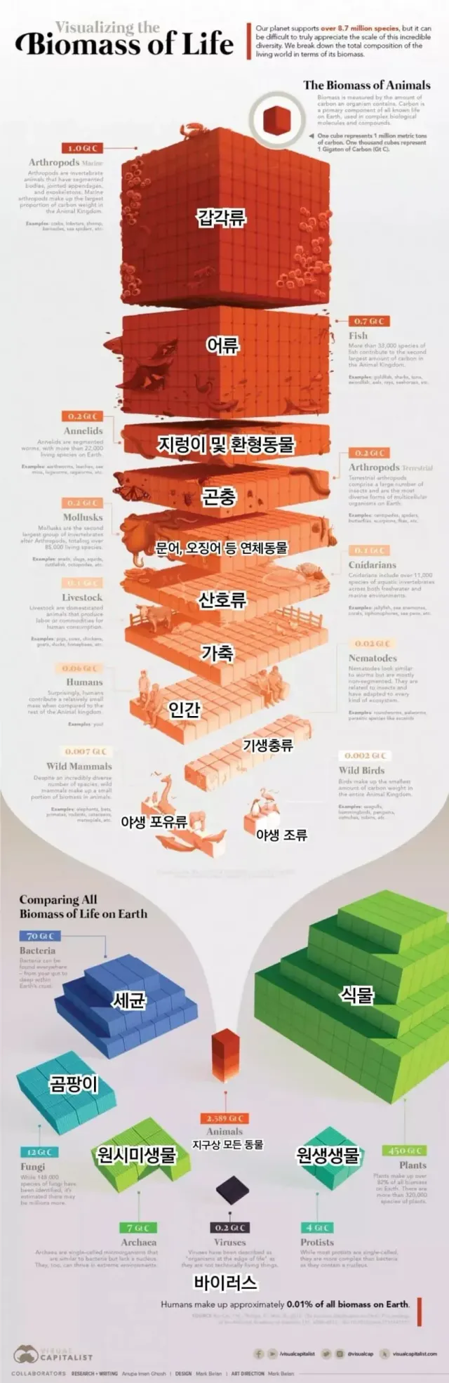지구에 서식하는 생물량 순위