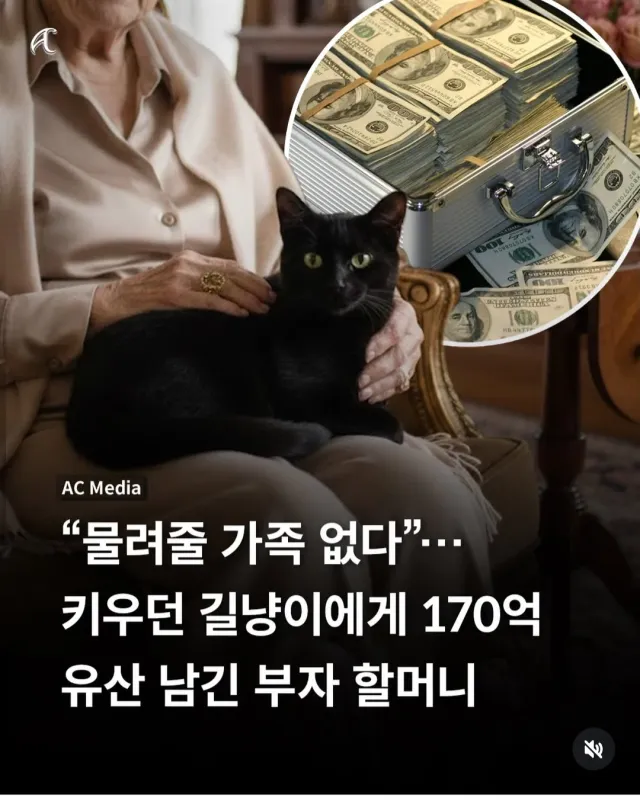 물려줄 가족없다 키우던 길냥이 에게 170억 유산 남긴 부자 할���니