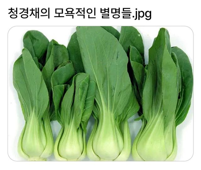 000_20261024115847_FKi3xZwAE6.jpg