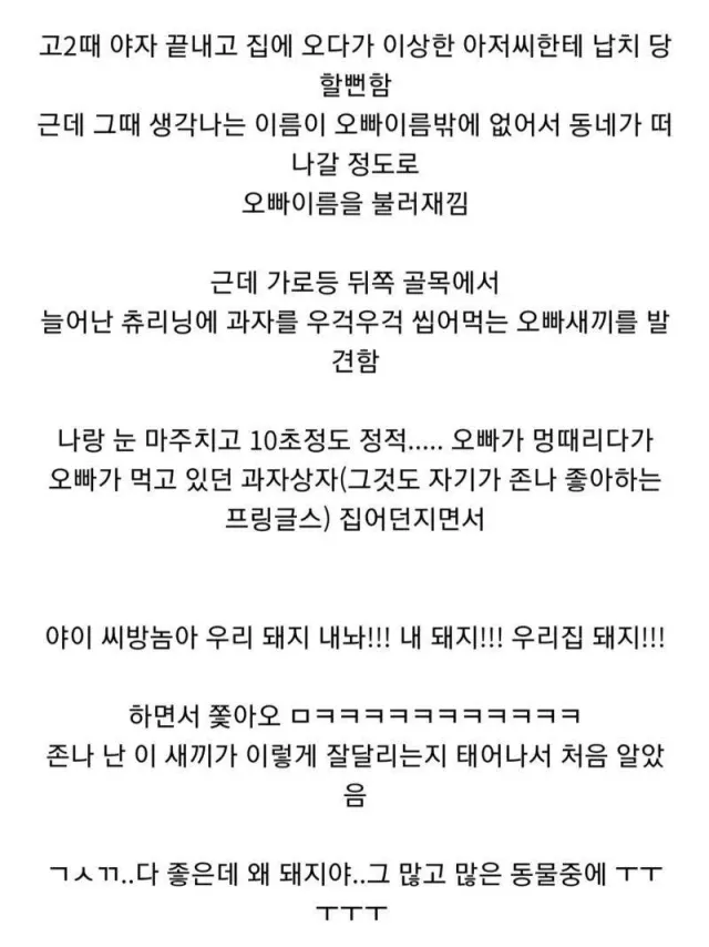 납치당할뻔한 여동생 구해주는 오빠 - 유렉카 채널 000.jpg