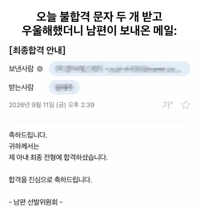 면접 2번 탈락한 아내한테 남편이 보낸 메일....JPG