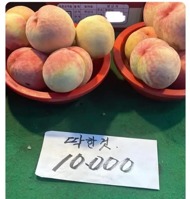 딱한것 과 숭한것