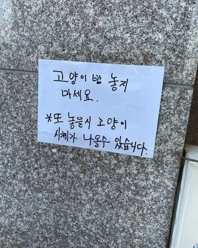 상남자식 캣맘 대처법