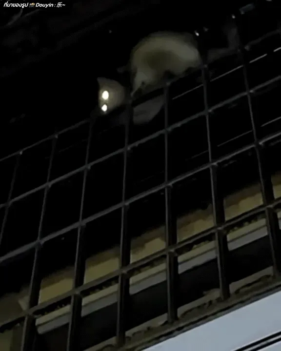 1000102267.gif