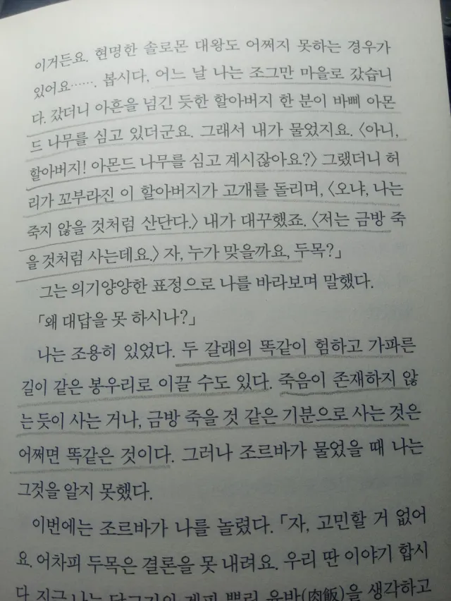 KakaoTalk_20260726_225859271_01.jpg