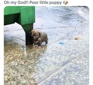 IMG_6622.jpeg