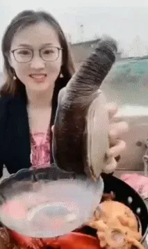 20190521175927_iwenvhvb.gif