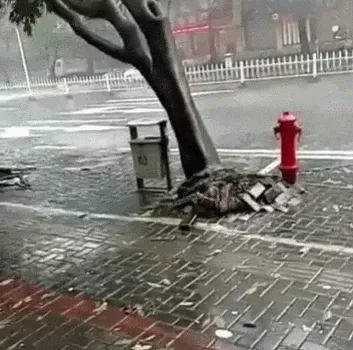 AwAW1662261583_1504458220.gif