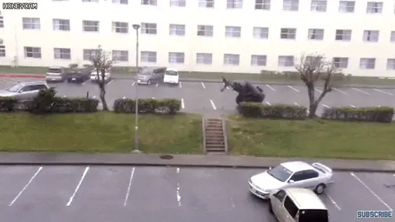 AwAW1662261570_1134296088.gif