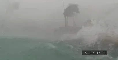 AwAW1662261671_237331326.gif