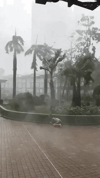 AwAW1662261683_879576183.gif