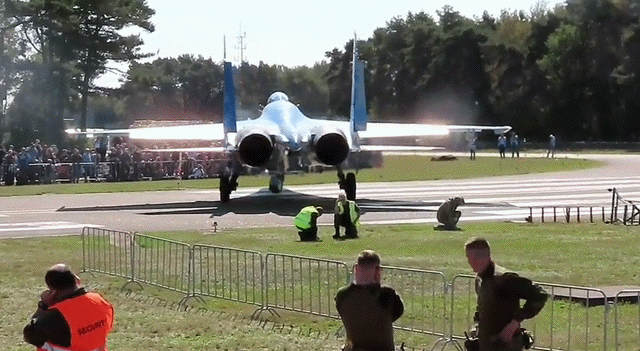 Hwsc1605513210_1086690962.gif
