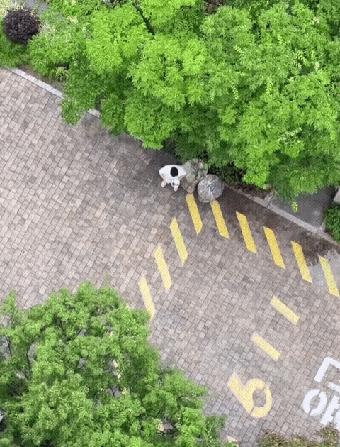 GIF_20260803_155252_246.gif