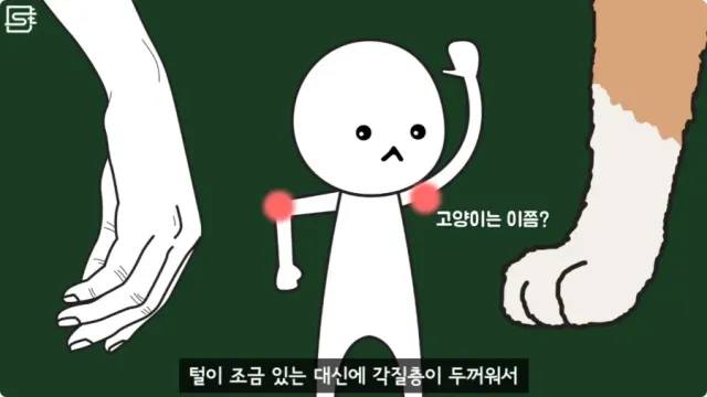 20260728215415_FXvVFwn6Lr.webp
