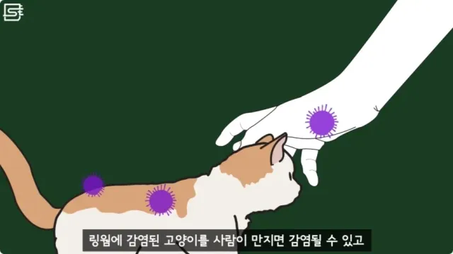20260728215417_5AztmOJ6d4.webp