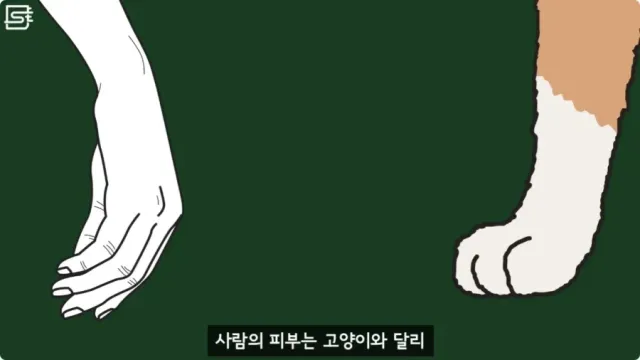 20260728215416_o1X7NCkgxd.webp