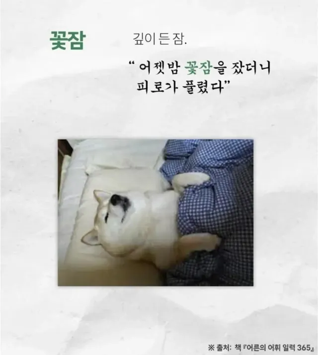 귀엽고 예쁜 우리말