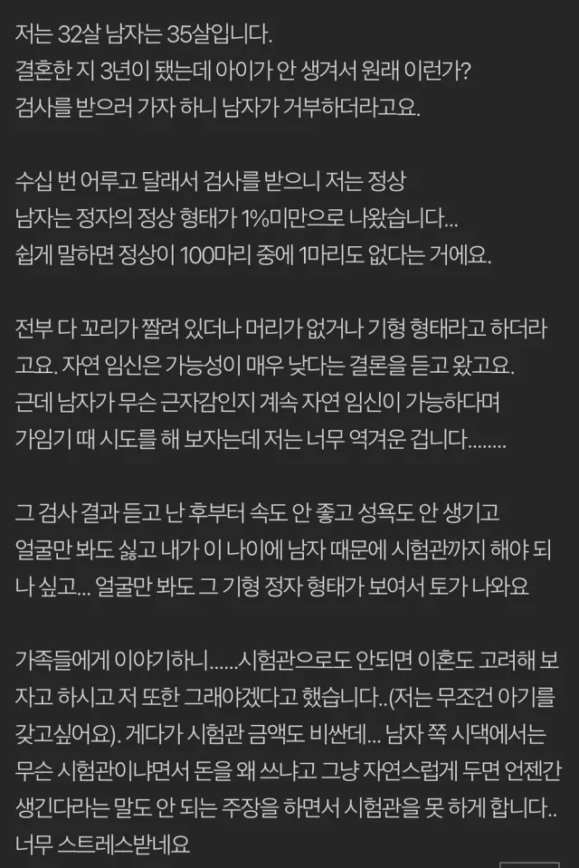 35.webp