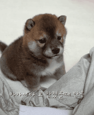1000042530.gif