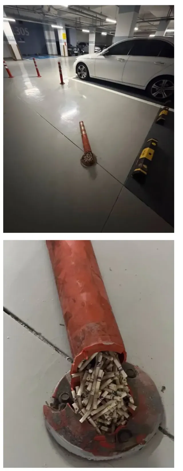 다람쥐.png