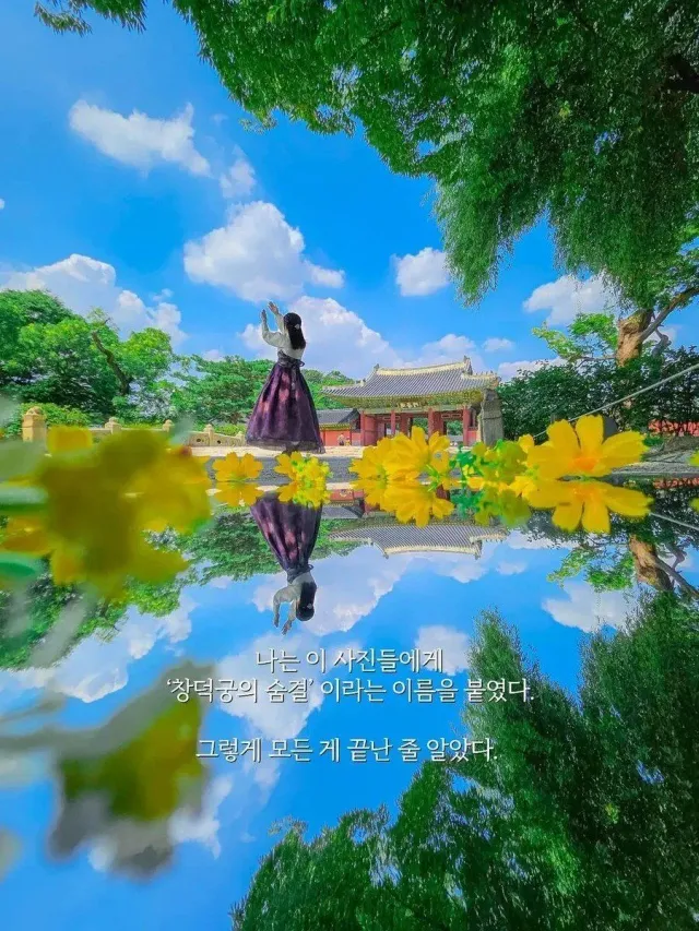 1000109199.webp