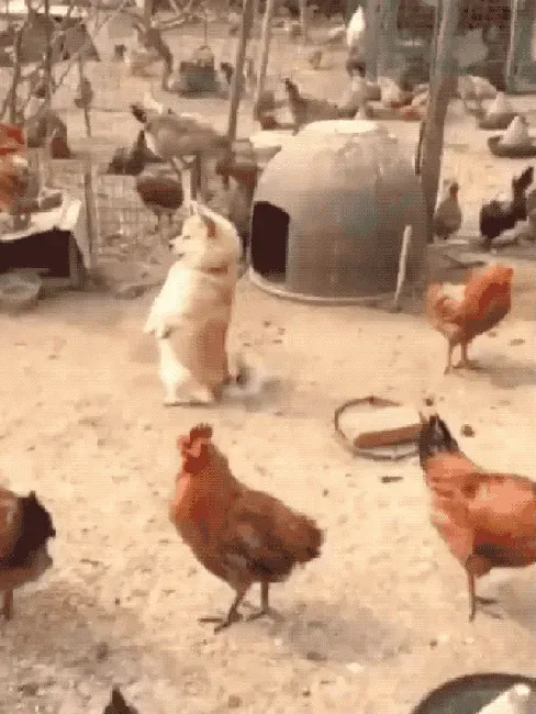 다운로드.gif