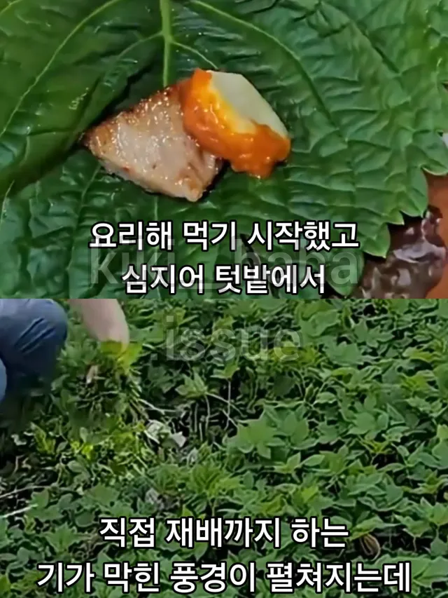 12982.webp