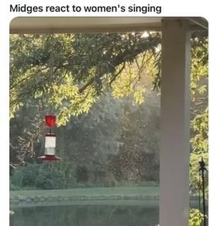 IMG_7884.jpeg