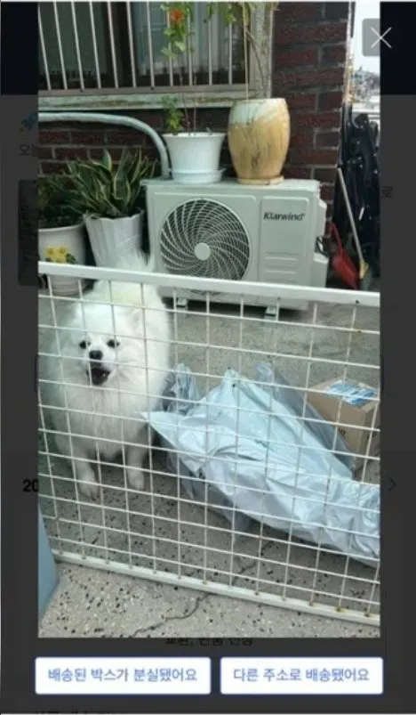마당 강아지있는 집의 택배완료문자