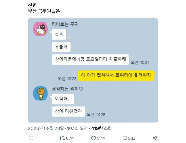 상어 이슈로 난리난 부산 공무원들 근황 ㄷㄷㄷ