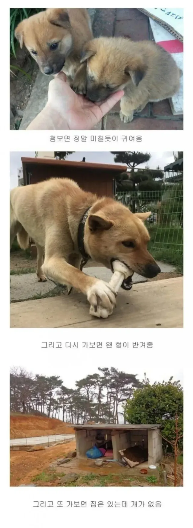 000_20260927021909_OCLyXUZpOs.webp