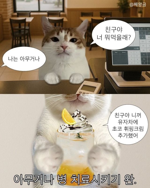 아무거나라고 말하는 친구 치료하기 이미지