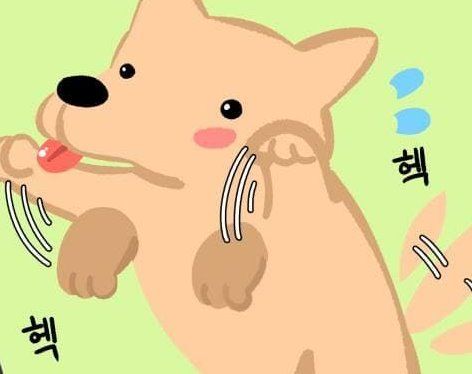 무지개다리 건너는 강아지 이야기 이미지