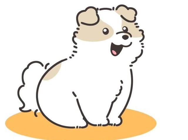 한밤중에 억지로 댕댕이 산책 데려간 썰 이미지