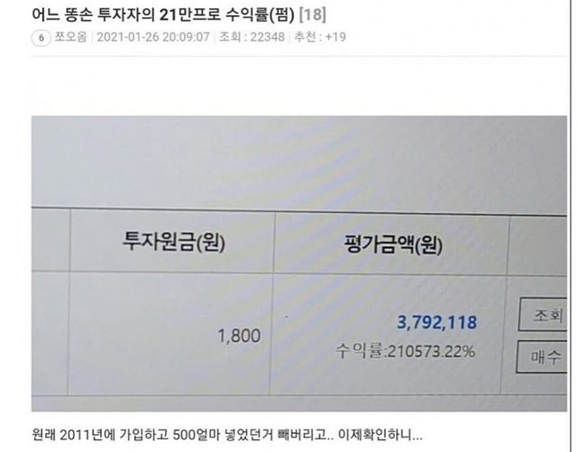 어느 똥손 투자자의 주식 수익률 이미지