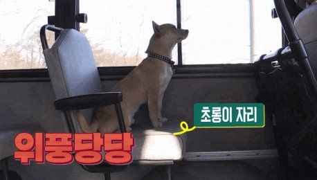 무임승차도 받아주는 시골 인심 이미지