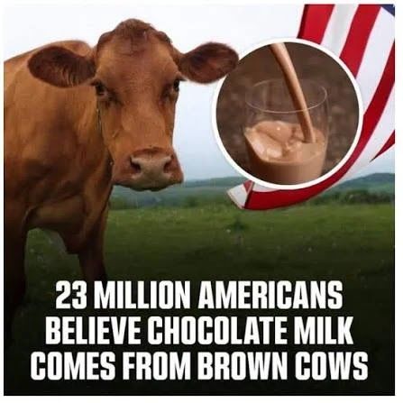 미국 성인 7%의 황당한 믿음 이미지