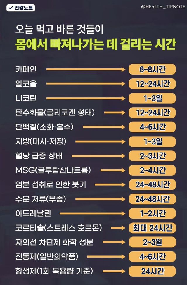 어제 먹은 야식이 언제까지?… 성분별 체내 배출 시간 이미지