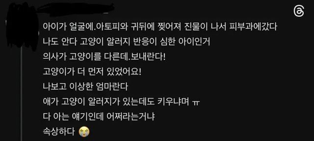내 아이보다 고양이가 우선? 주객전도된 집사 엄마 이미지