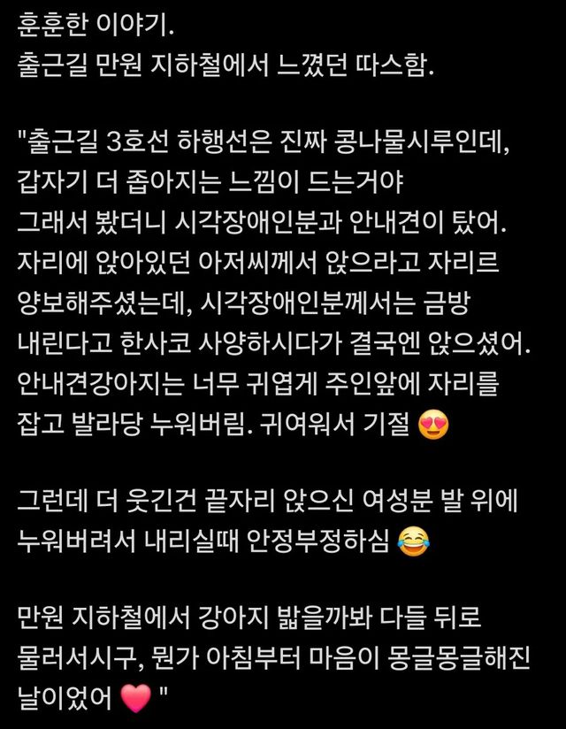 만원 지하철이 좁아진 이유 안내견과 시민들이 만든 아침의 기적 이미지