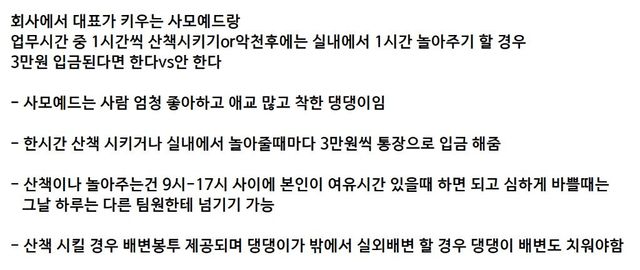 회사 대표님 강아지 산책 1시간에 3만 원? 직장인들 사이서 난리 난 꿀알바 논쟁 이미지