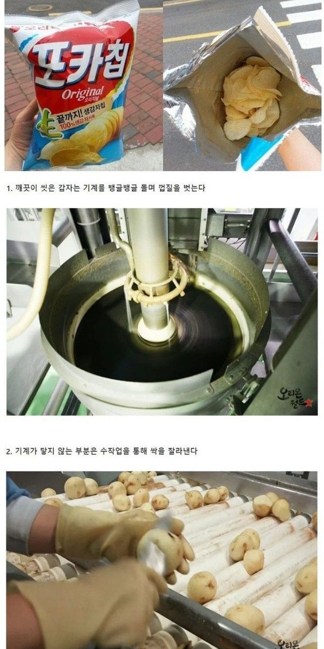 현재 질소과자로 유명한 오리온 포카칩이 왜 비싼지 밝혀진 충격적인 이유 ㄷㄷ