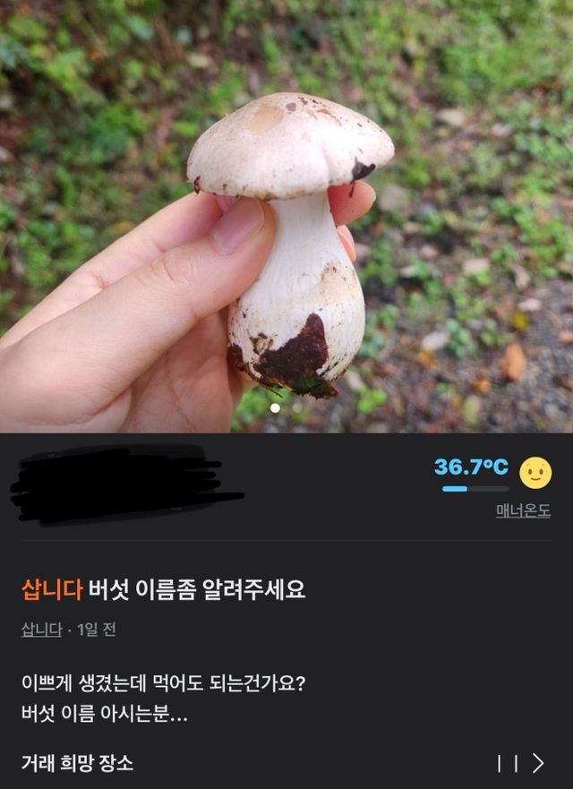bt09901bf10b17160ee7d549d82ecdcca3.jpeg