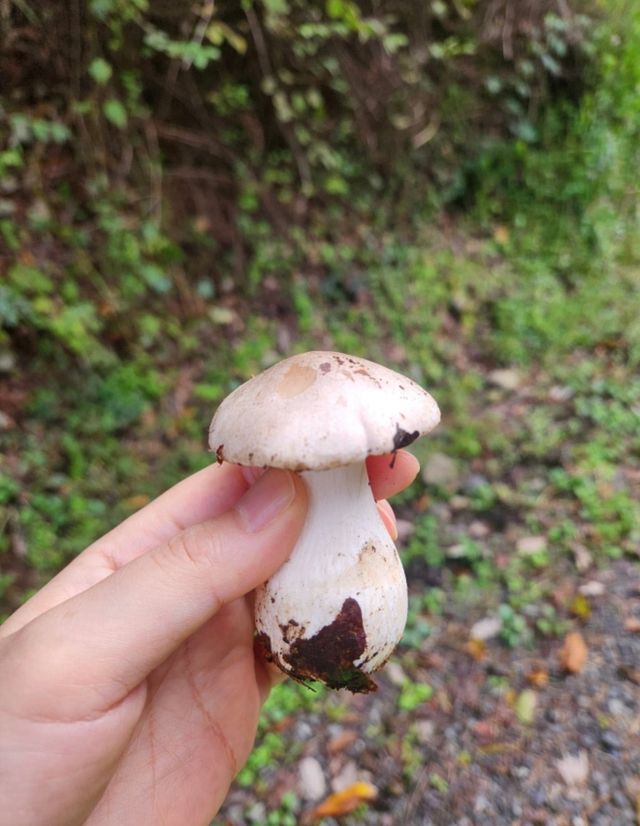 bt4ecfd338198d52937d05565a62c421c4.jpeg