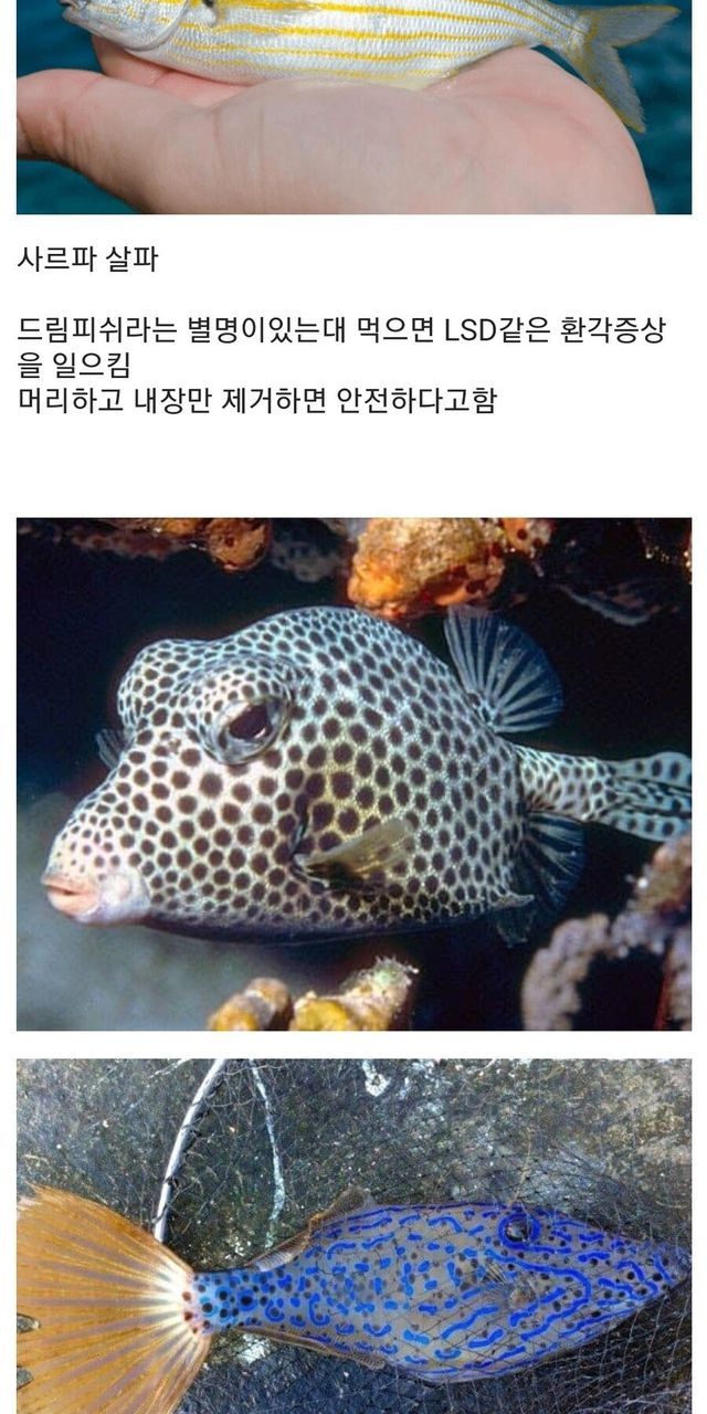 58bc1698-51c4-465e-9b48-e051d8208a7e_1.jpg?area=BODY&amp;requestKey=i7aOh15u