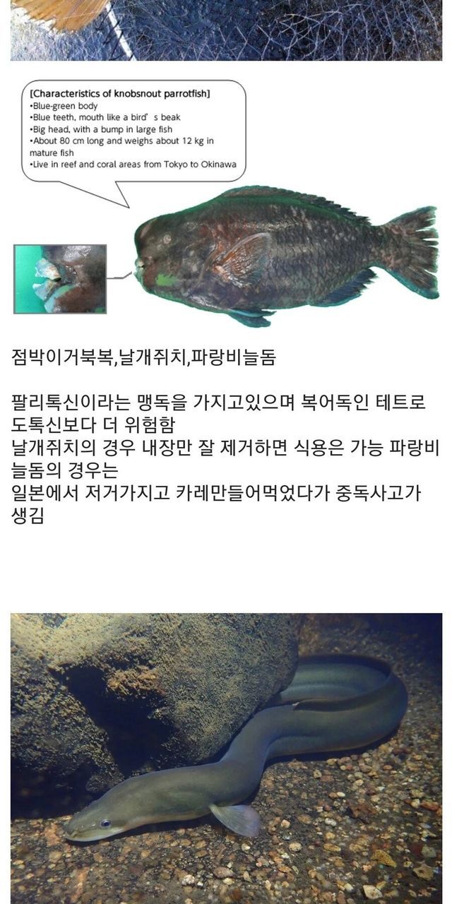 58bc1698-51c4-465e-9b48-e051d8208a7e_2.jpg?area=BODY&amp;requestKey=i7aOh15u